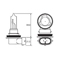 BULB - HALOGEN 12V 65W - H9 - PGJ19-5