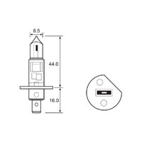 BULB - HALOGEN 12V 55W - H1 - P14.5S