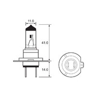 BULB - HALOGEN 12V 55W - H7 - PX26D