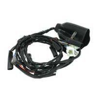 DRC EZ WIRE HARNESS KIT | SPARE PARTS | MAIN HARNESS