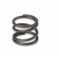 KX85 GOVERNOR SPRING